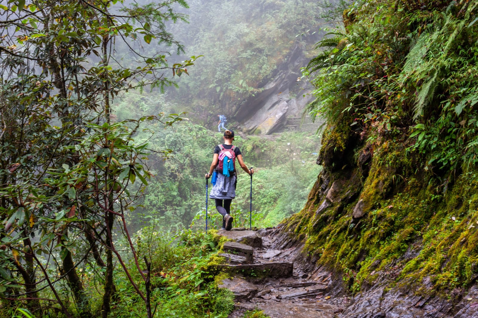 Trekking Bergurwald