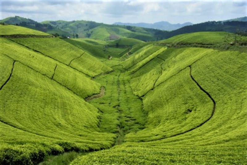 0  Frontpage Visit Rwanda