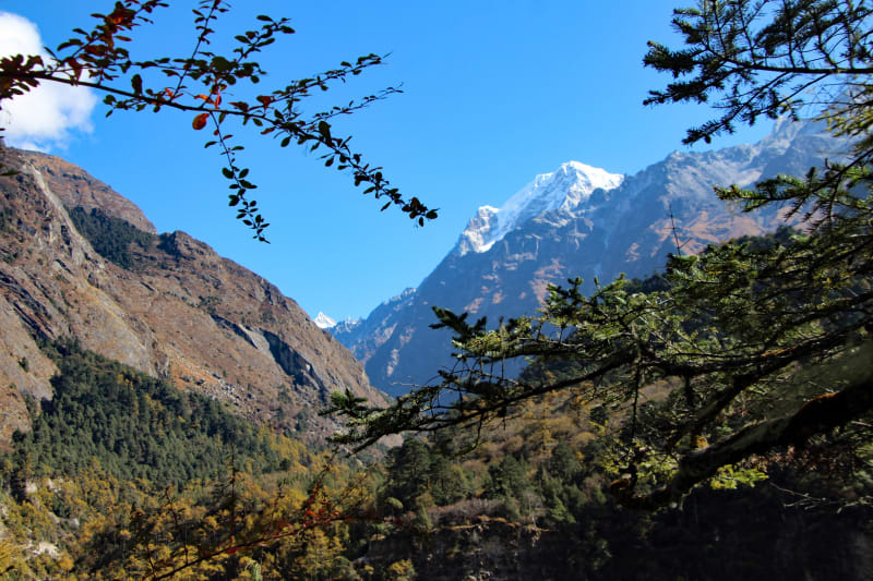 23.10.27Ghunsa02