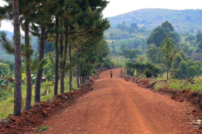4 road to Bwindi meineweltreisen