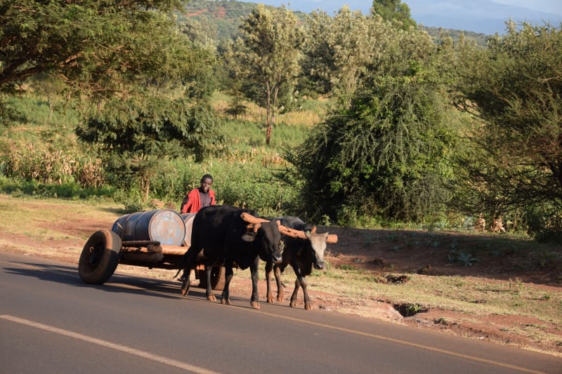 national route arusha