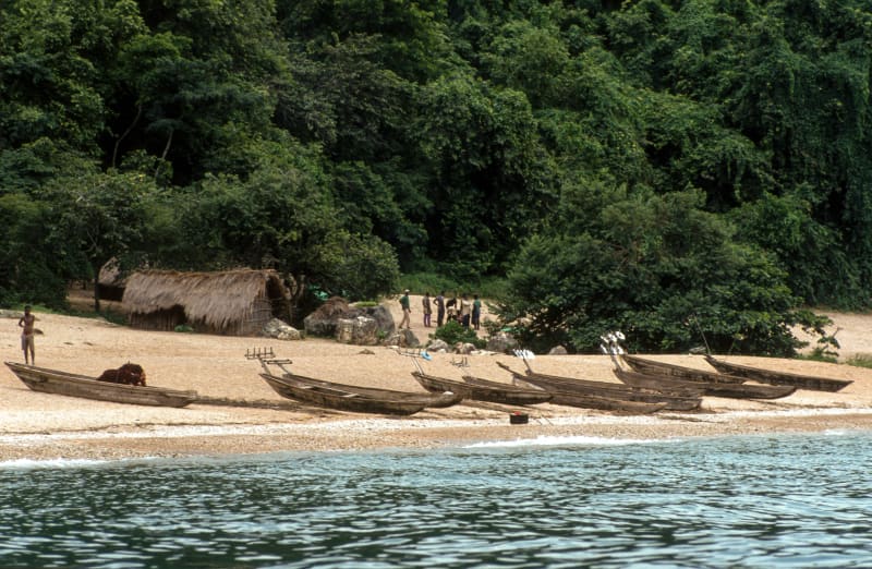 Strand Gombe Nationalpark