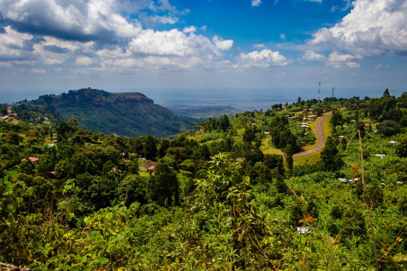 Bwindi Inpenetrable Rainforest Uganda