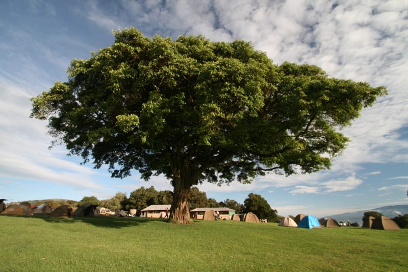 camping ngorongoro tansania