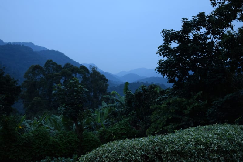 rainforest uganda.meinewelt reisen