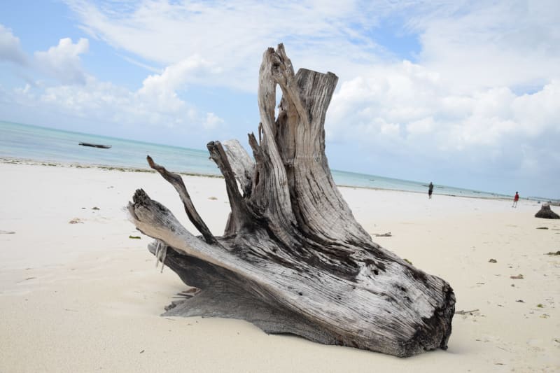 jambiani beach timo