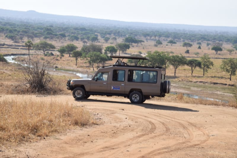 Ausblick auf Safari im Tarangire Nationalpark