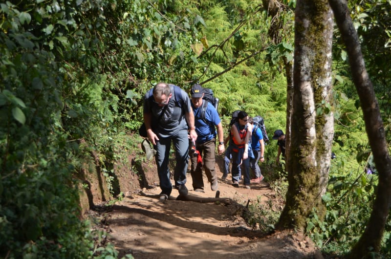 tageswanderung zum Machame Camp Kilimandscharo
