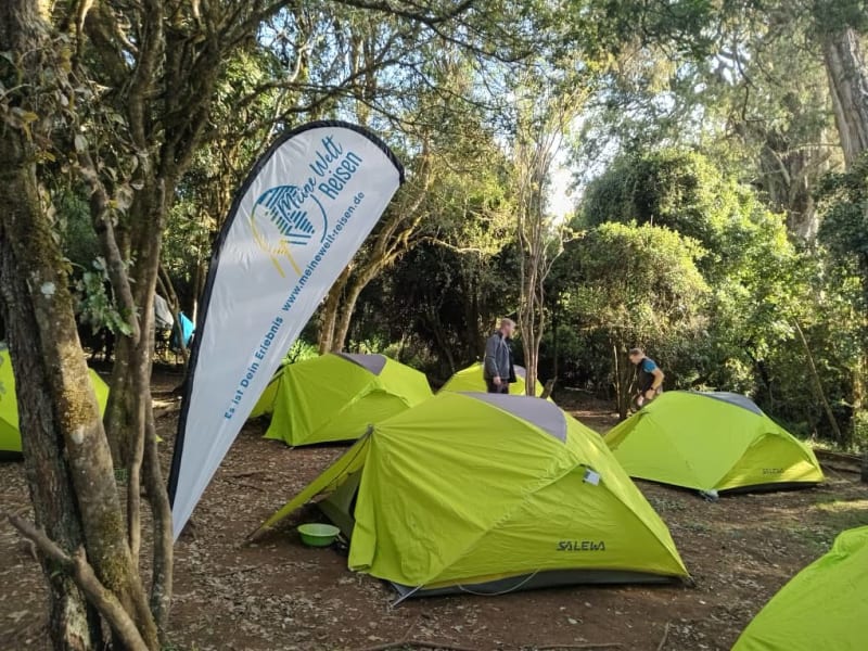 Kilimandscharo Regenwald Trekking Tansania