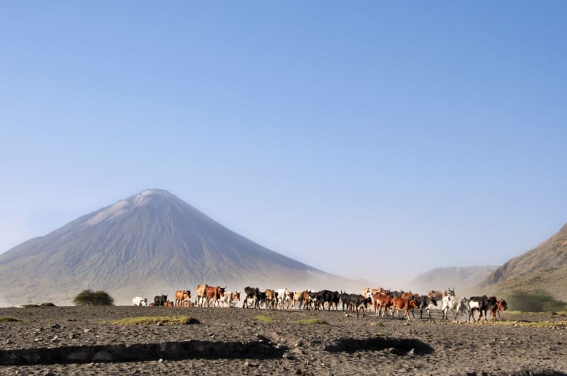 Lake Natron Ol Doinyo Lengai Tansania Safari