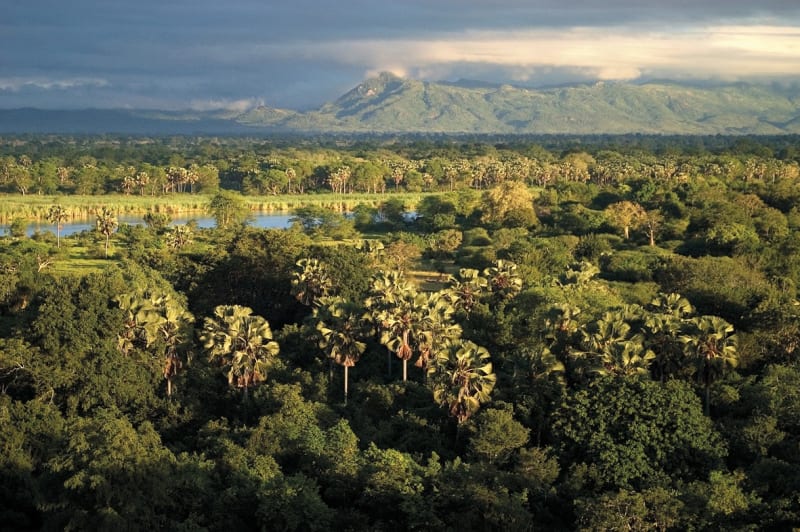 liwonde national park
