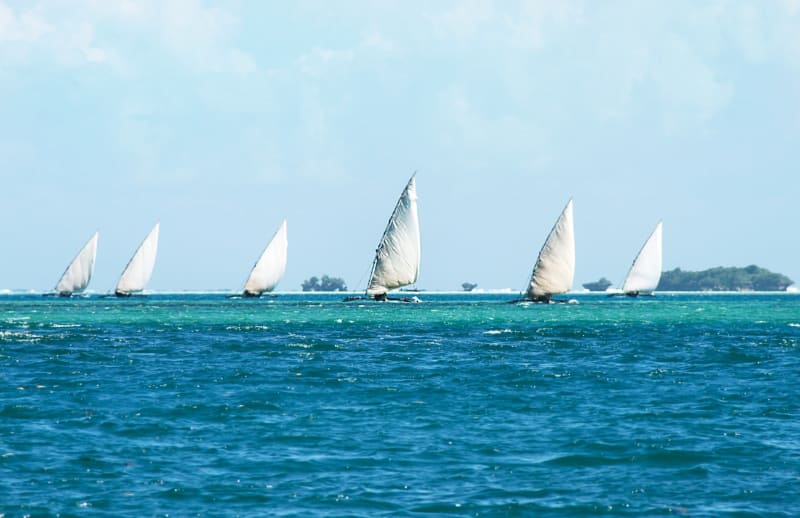 Sailing zanzibar