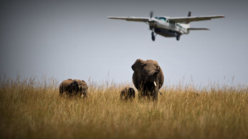 Takeoff over elefants