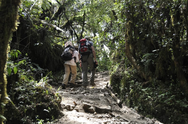 tansania marangutrail meineweltreisen