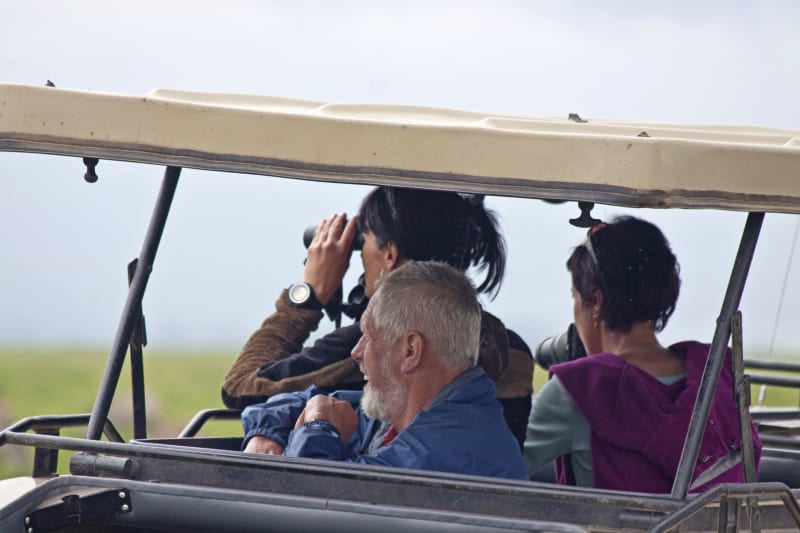 Auf Pirschfahrt in der Serengeti