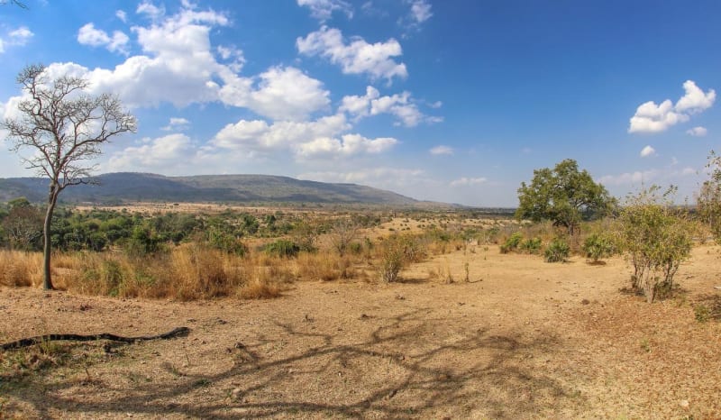 beho beho hills southern tansania bearbeitet