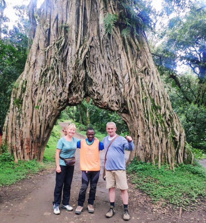 Baum Arusha NP