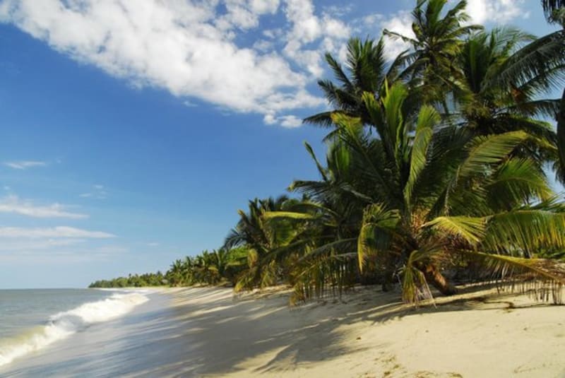 pangani Strand Meine Kilimandscharo Reisen
