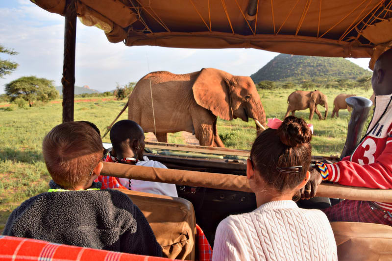 Pirschfahrt in der Maasai Mara