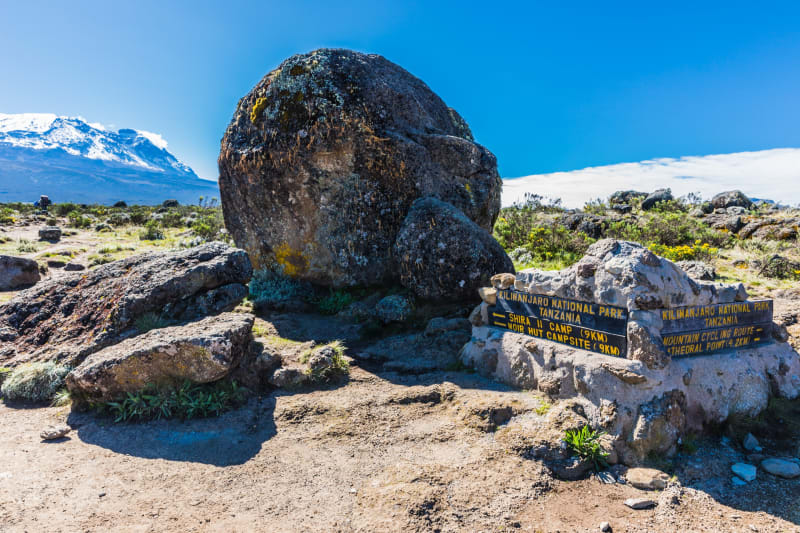 Lemosho Trekking Shiraplateau