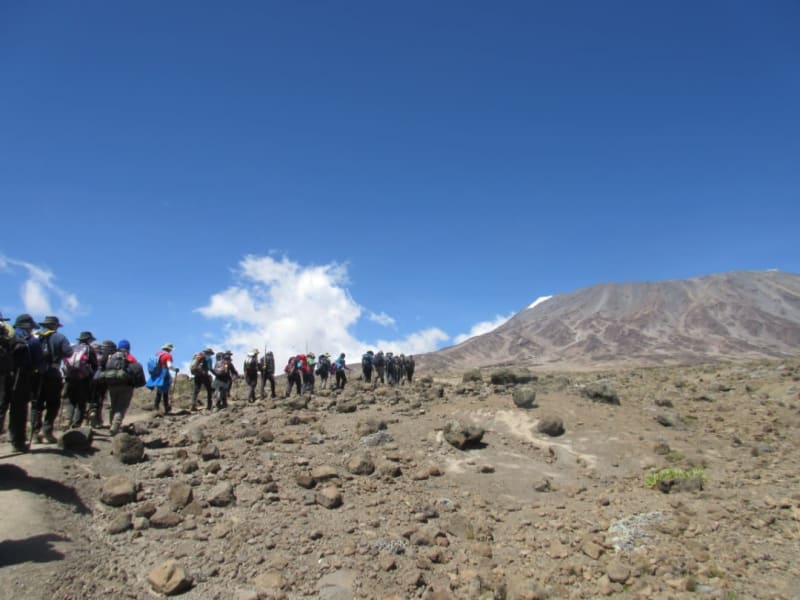 Rongai Route Kilimandscharo Meine Kilimandscharo Reisen