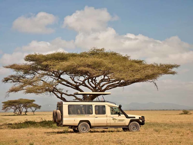 Safari Jeep Tansania