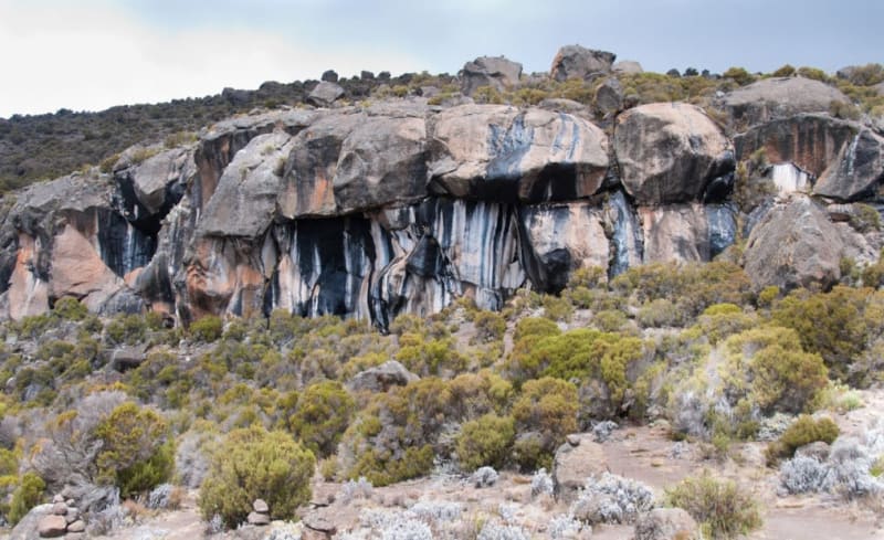 zebra rock kilimanjaro