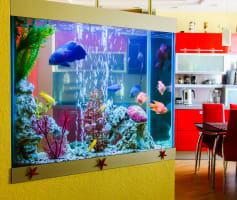 עיצוב אקווריום במחיצה ליד מטבח ופינת אוכל
