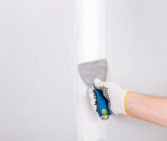 שפכטל אמריקאי