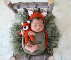 צילומי ניו בורן