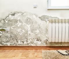 עובש ורטיבות בקיר בבדיקת ליקויי בנייה בבית