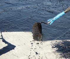 איטום גגות בזפת