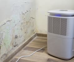 ייבוש קיר רטוב