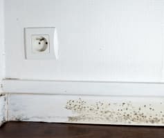 רטיבות בין הפנלים לריצוף