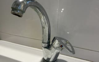 ברז פרח באמבטיה