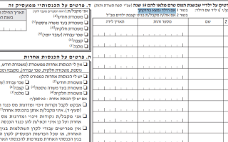 מילוי ילדים בחזקתי בטופס 101