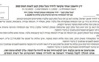 דוח שנתי מקוצר