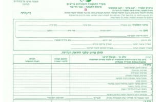 כרטיס תלמיד מורה נהיגה