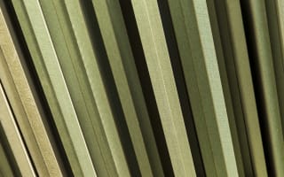 לוחות MDF ירוקים