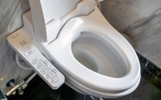 אסלה יפנית