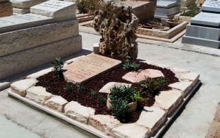 תמונה של מצבה מיוחדת זוגית עם אבן טבעית וצמחים