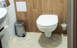 ניאגרה סמויה | אסלה תלויה