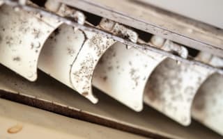 עובש בתוך המזגן 