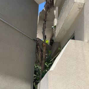 מנוף עם מיכל מים על גג בניין