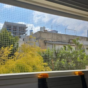 רשת יונים מותקנת על חלון עם נוף עירוני