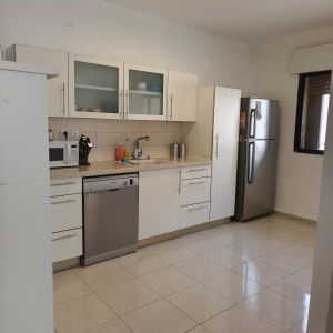 מטבח מודרני עם ארונות, מקרר ומדיח כלים