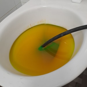 צינור בתוך אסלה עם נוזל צבעוני