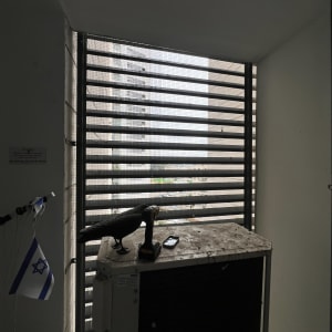 יונה מלאכותית על מזגן עם דגל ישראל