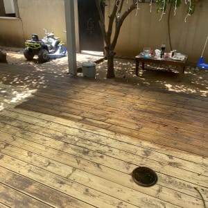 דק עץ בגינה עם צל ועצים מסביב