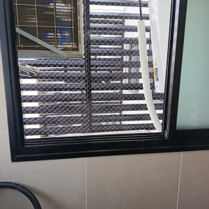 רשת יונים מותקנת על חלון למניעת כניסת יונים